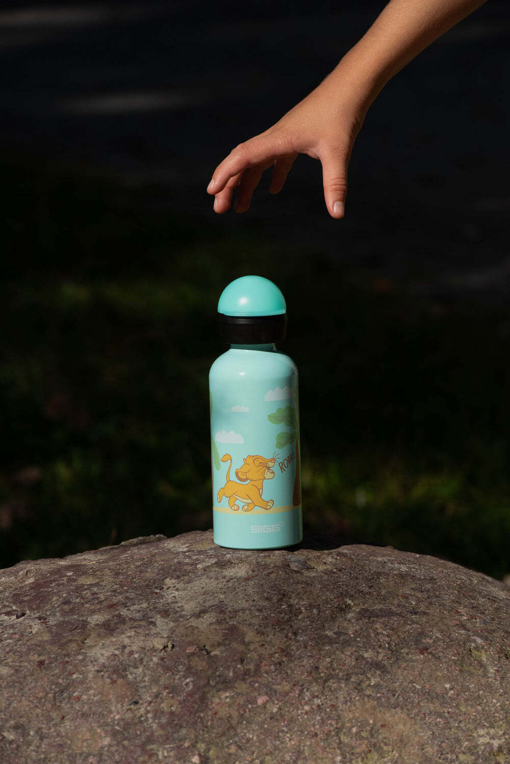 Sigg KBT dětská láhev 400 ml, simba roar, 6059.00