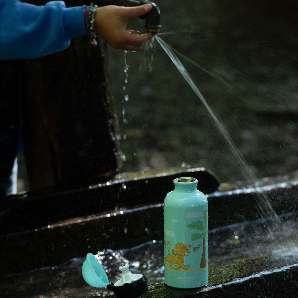 Sigg KBT dětská láhev 400 ml, simba roar, 6059.00