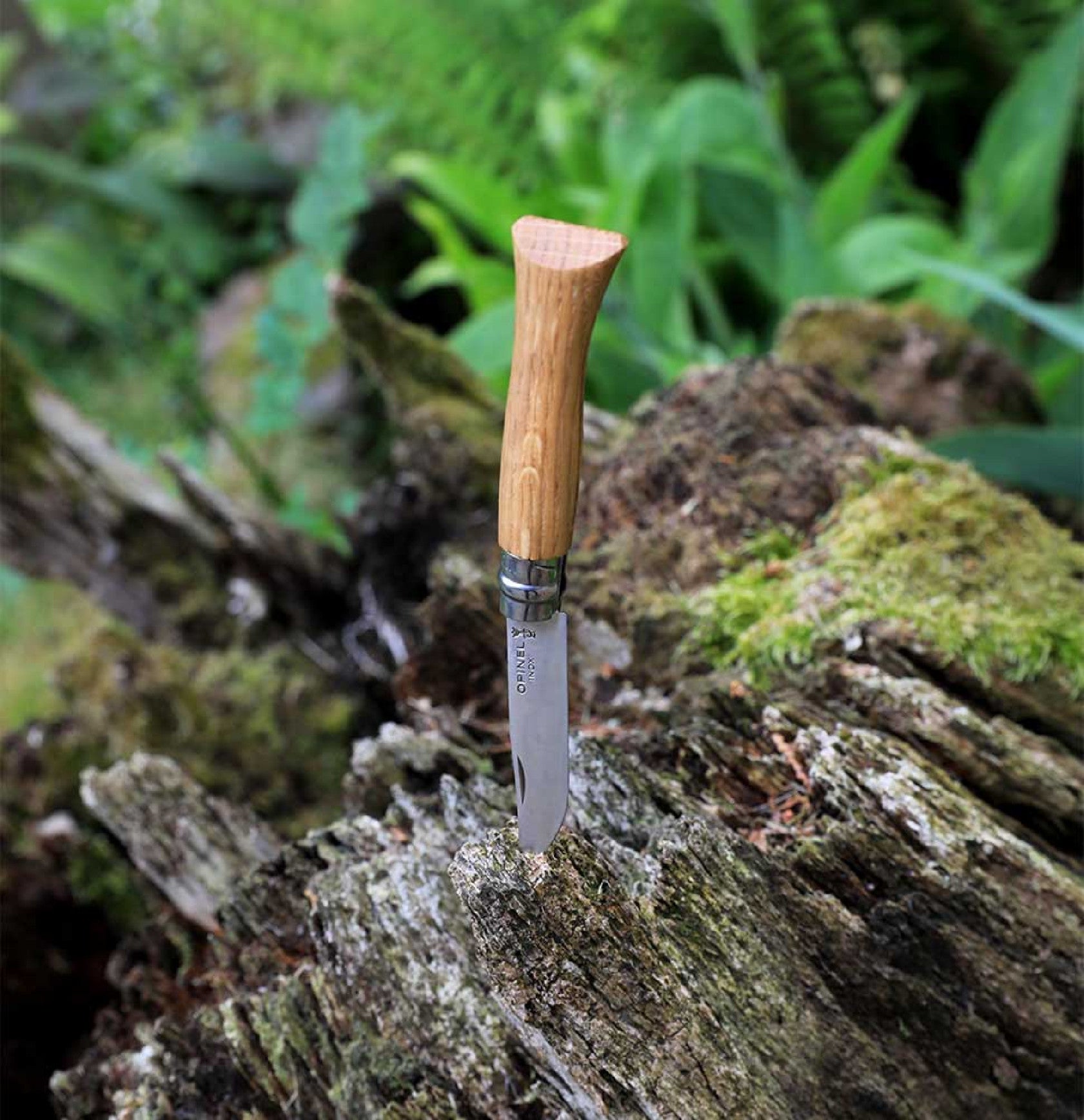 Opinel Oak Wood N°08 zavírací nůž 8,5 cm, 002021