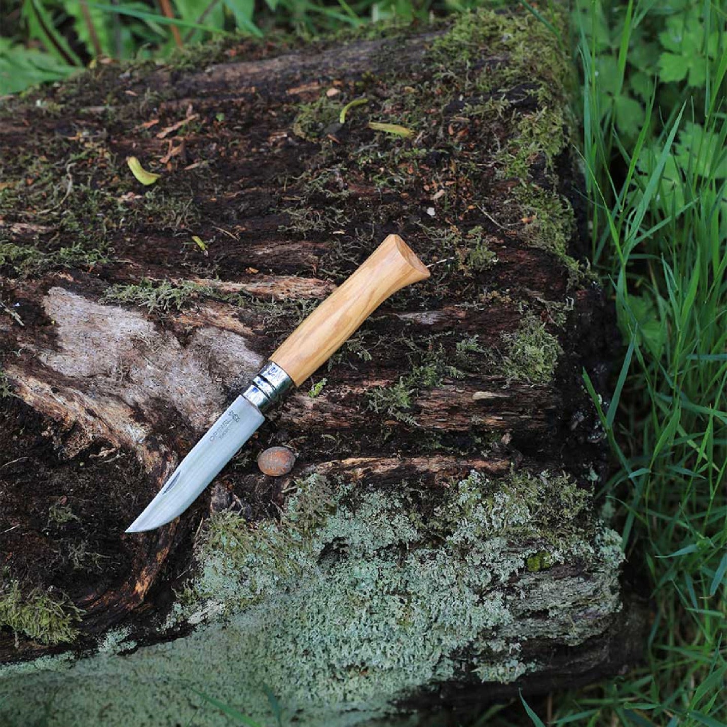 Opinel Olive Wood N°08 zavírací nůž 8,5 cm, 002020