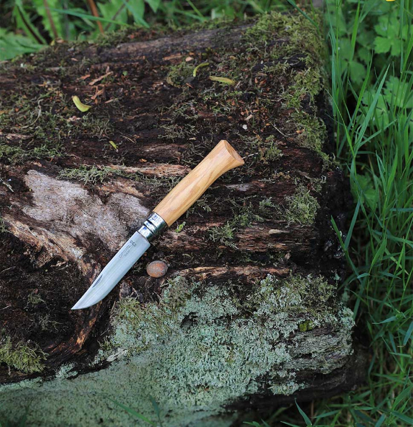 Zatvárací nôž Opinel Olive Wood N°08 8,5 cm, 002020