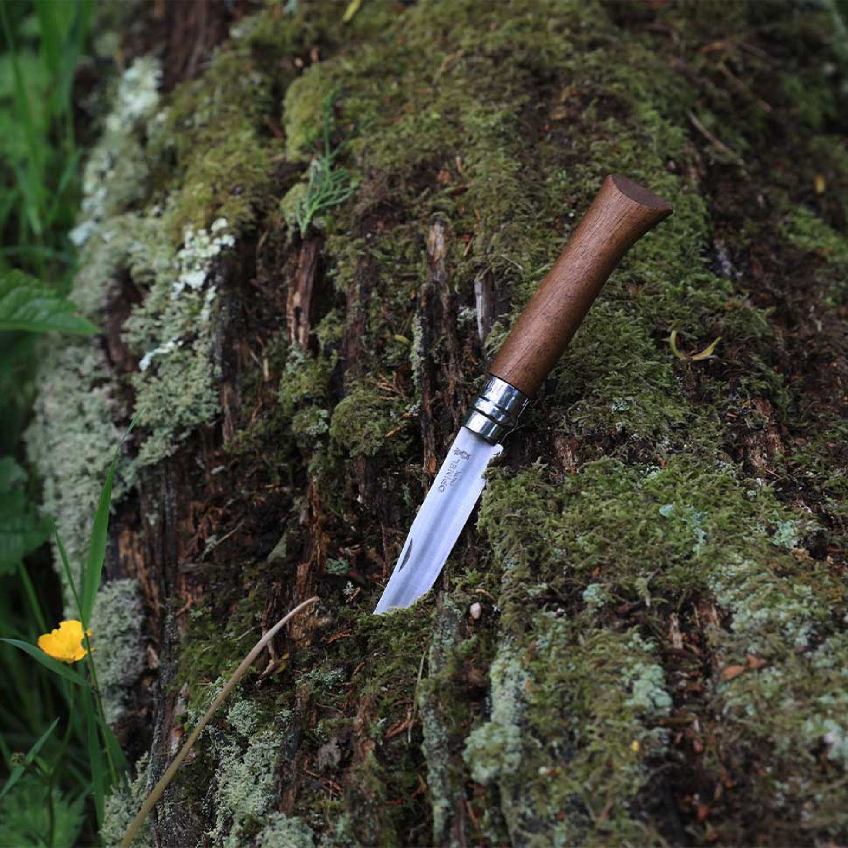 Opinel Walnut Wood N°08 zavírací nůž 8,5 cm, 002022