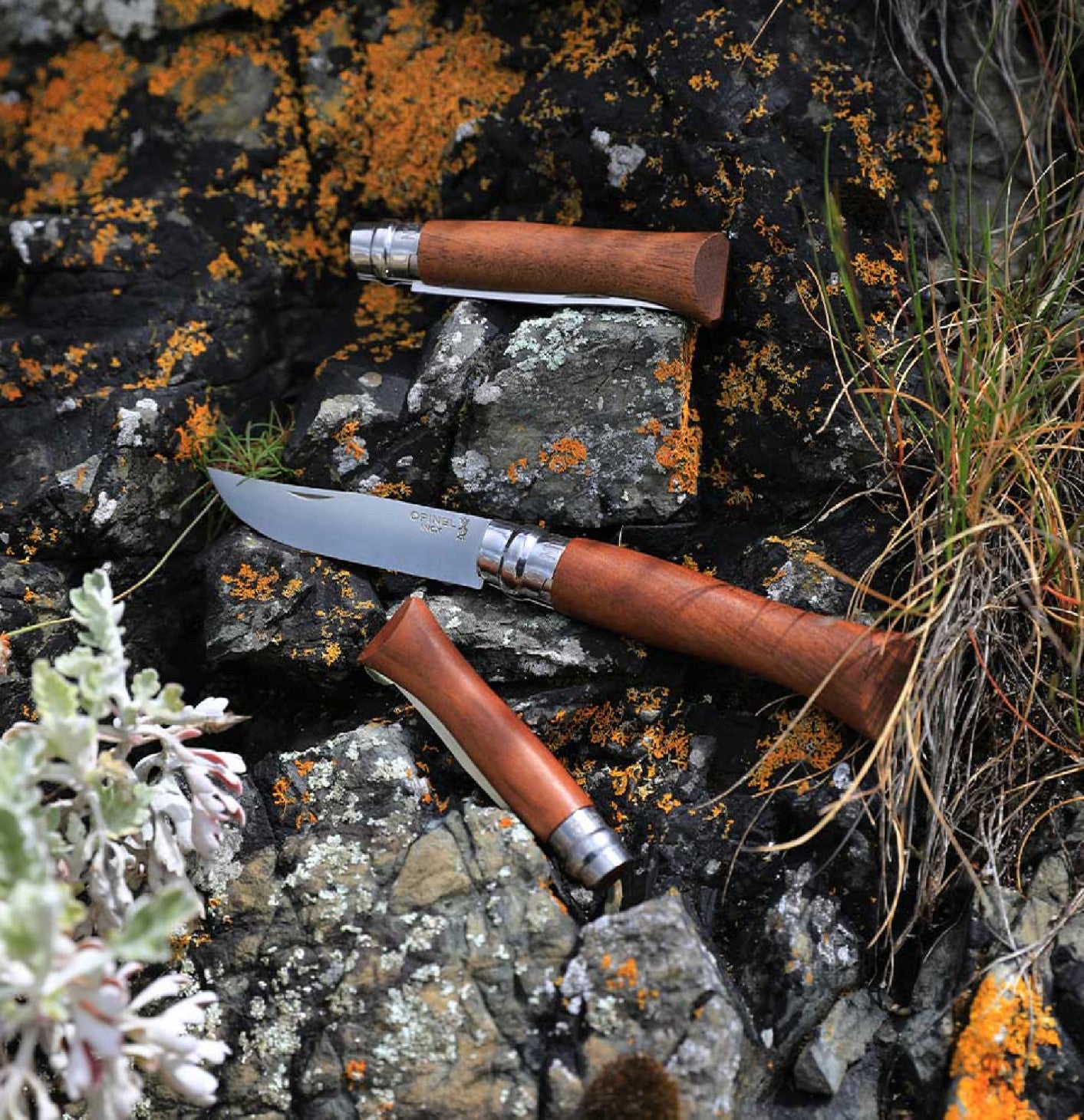 Opinel Walnut Wood N°08 zavírací nůž 8,5 cm, 002022