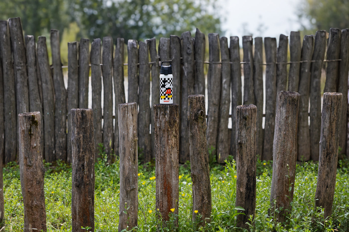 Sigg WMB One dětská láhev na pití 600 ml, mickey retro, 6060.20
