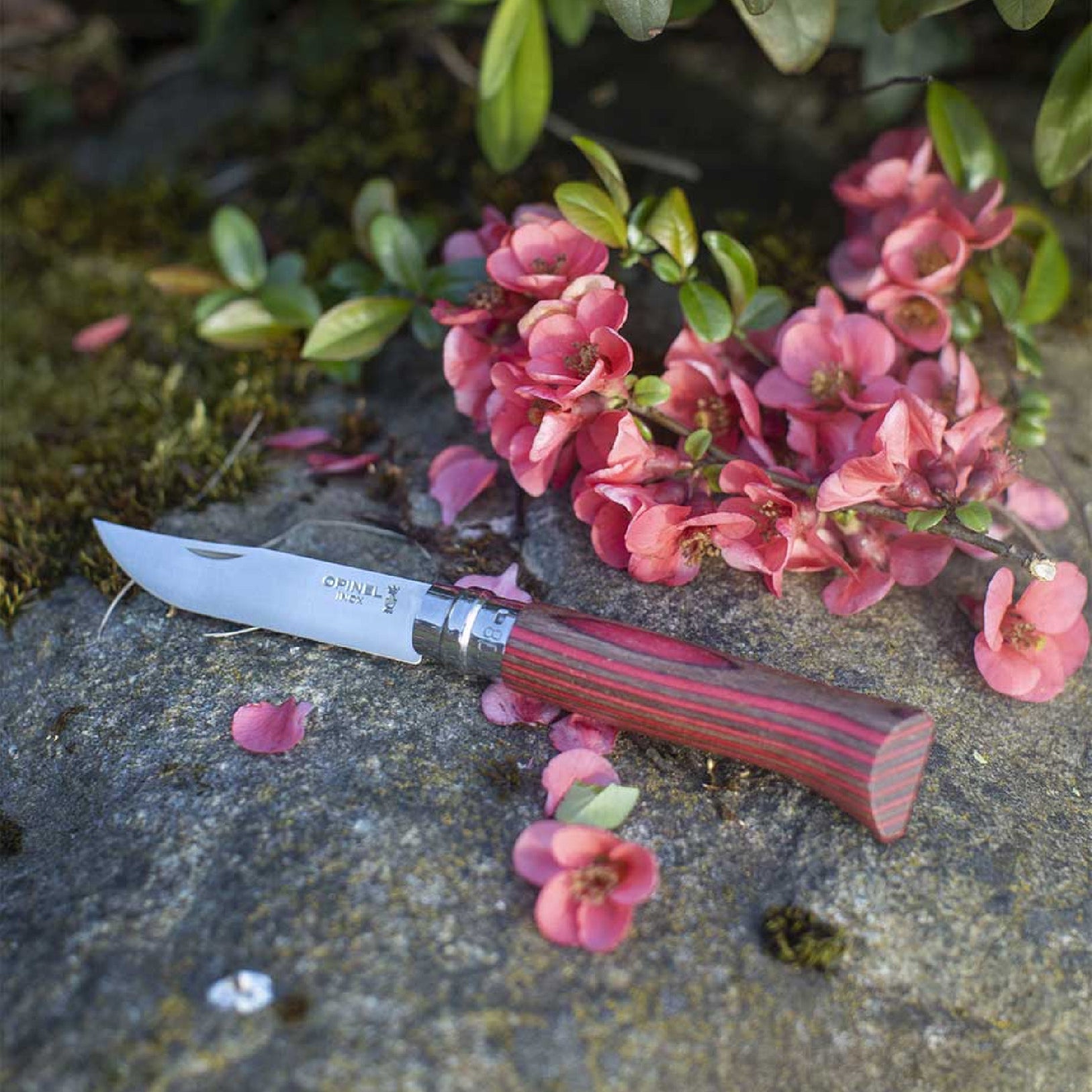 Opinel Laminated Birch N°08 zavírací nůž finská bříza 8,5 cm, červená, 002390
