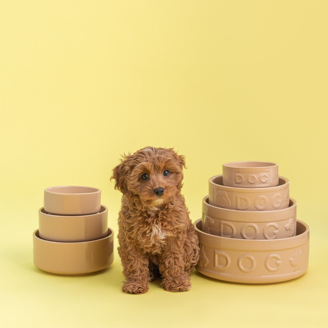 Mason Cash Cane Pet Bowl miska pro psy 18 x 7 cm, skořicová, 2030.307