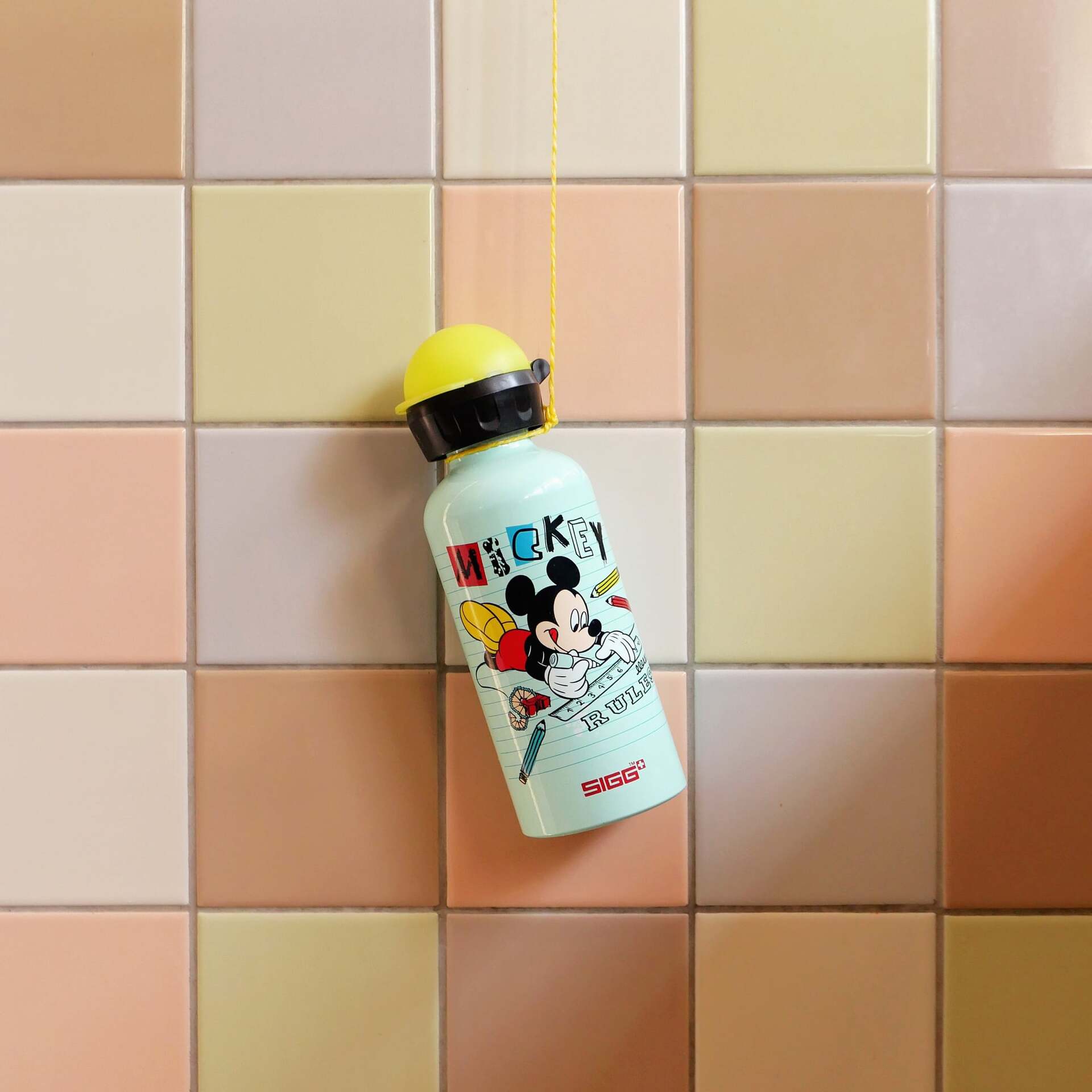 SIGG Disney