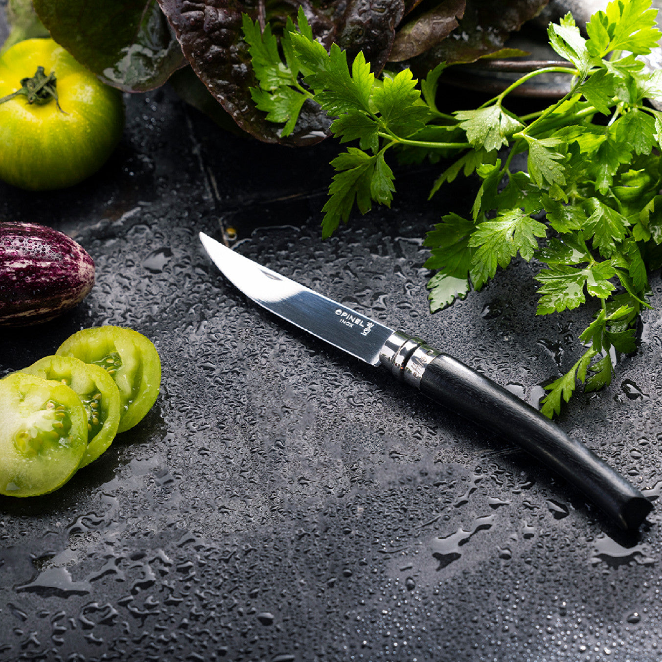 Opinel Effilé Ebony N°10 zavírací nůž 10 cm, 002566